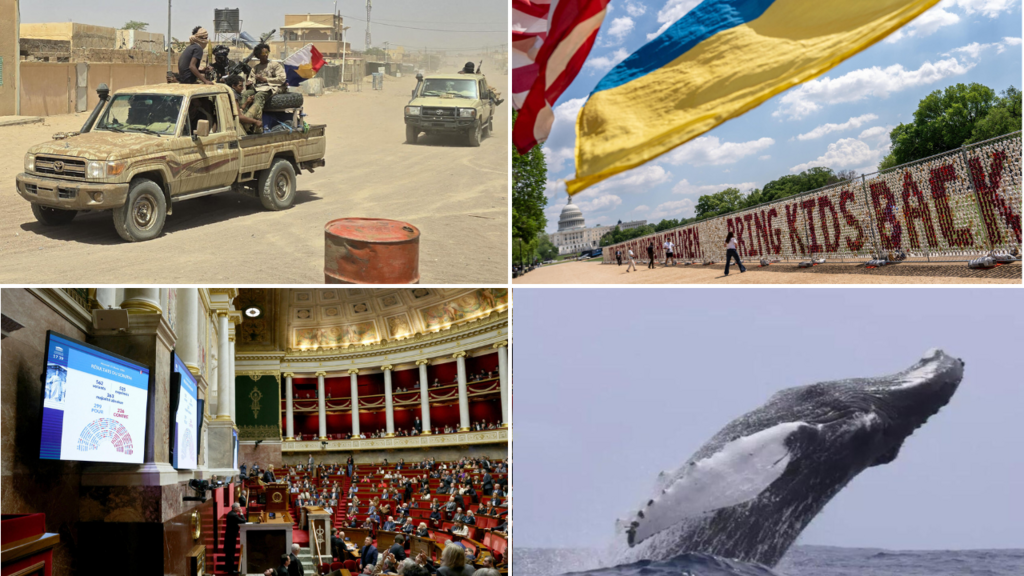 photomontage illustrant l'alliance entre groupes armés au Mali