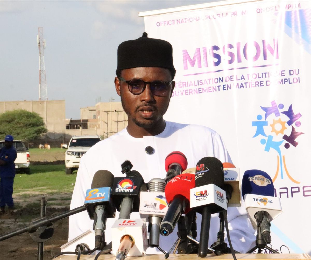 Deux cents jeunes tchadiens en formation aux métiers verts à N'Djamena
